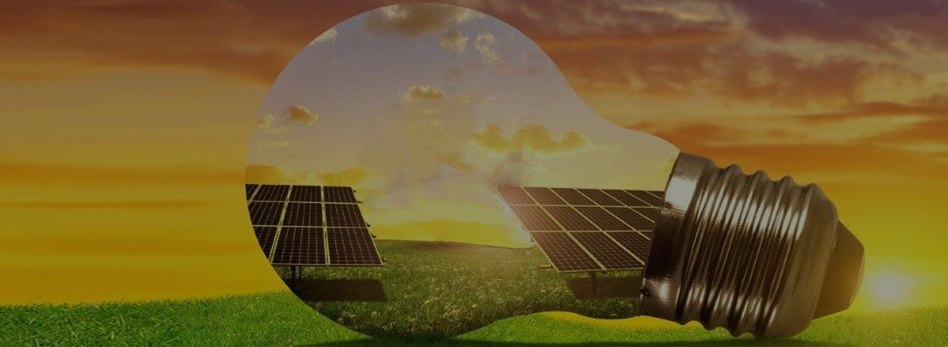 This image shows a big bulb in which we can see two solar modules placed on a grassfield. The idea is to show how Shwartz Solar Systems & Infrastructures LLP manufactures highly-efficient solar modules and solar cells